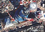 東京スカイツリー  UNDER CONSTRUCTION
