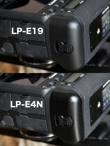 LP-E19 & LP-E4N_05