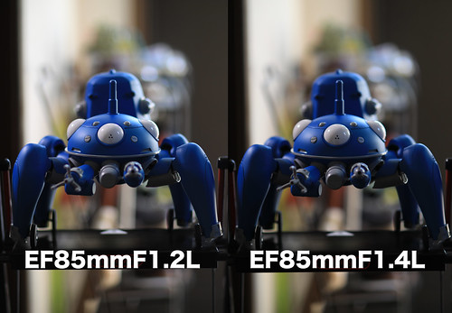EF85mm F1.4L IS USM SAMPLE_01
