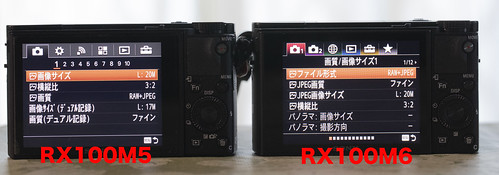 RX100M5 vs RX100M6_10