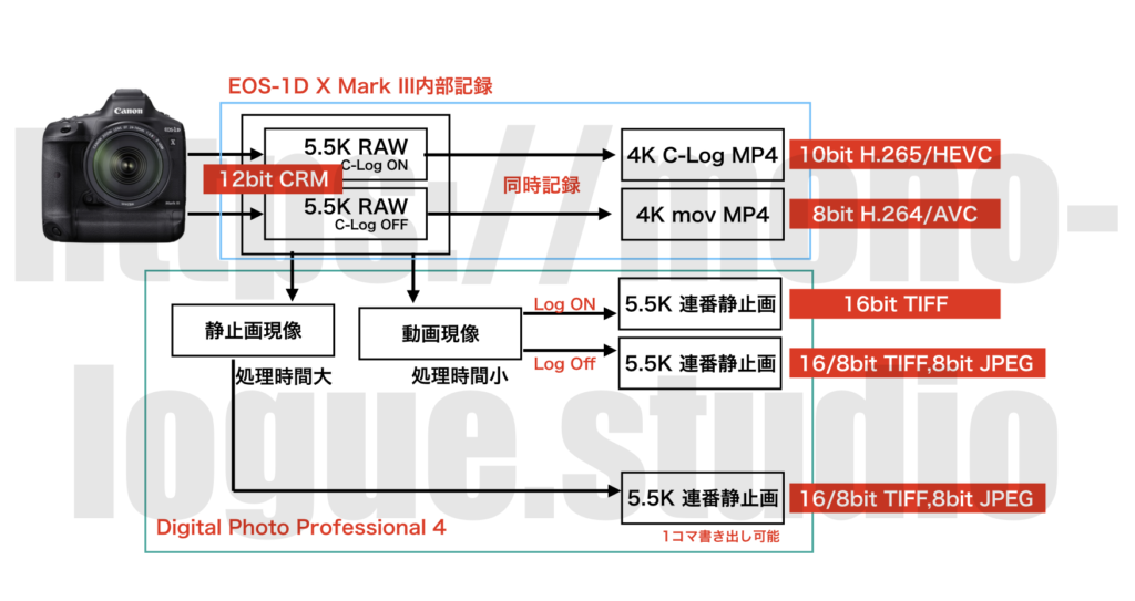 EOS-1D X Mark III 5.5K RAW動画の仕様