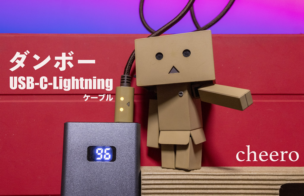 cheero DANBOARD USB-C Cable_1