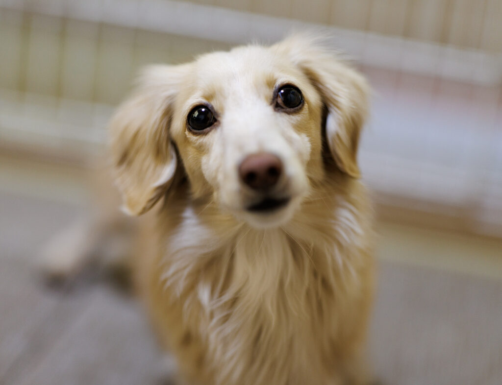 ワンシーン、ワンカット、を大切にしたい