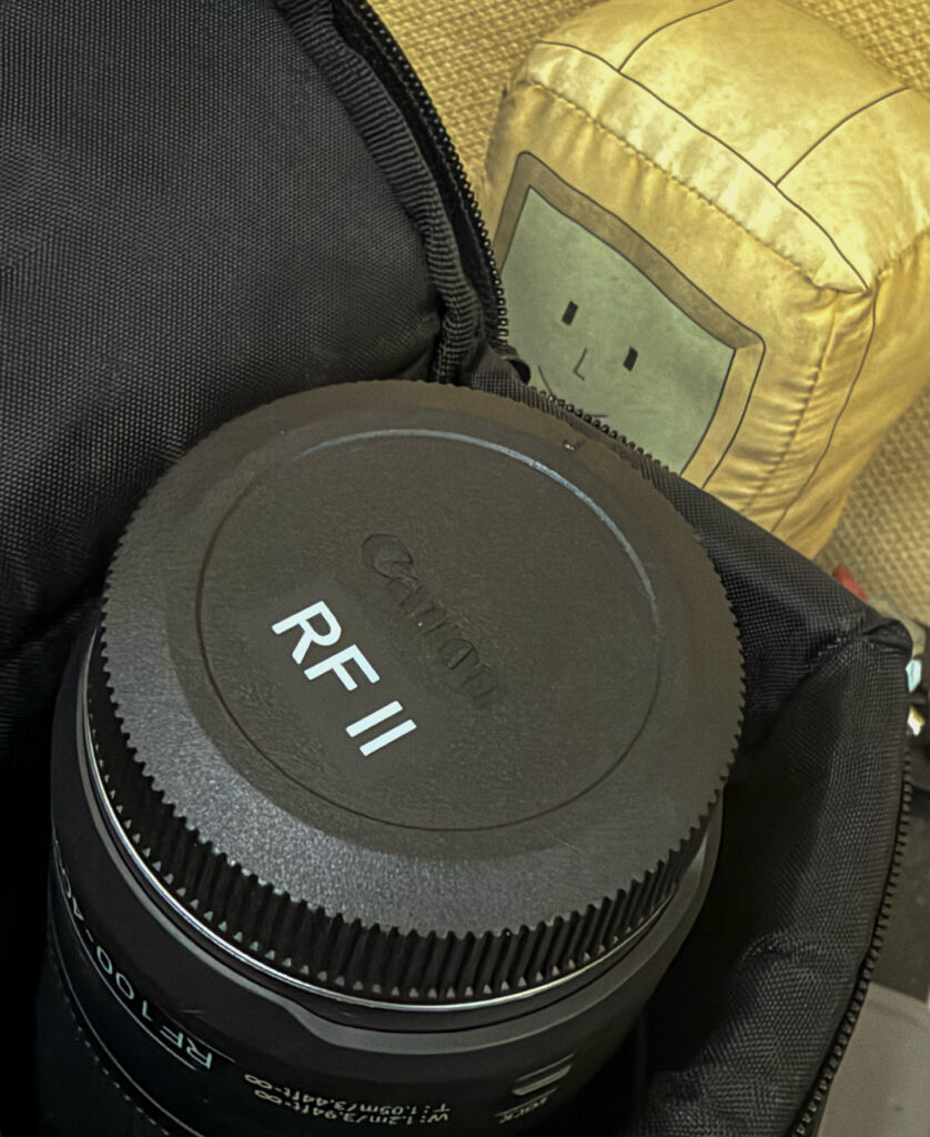 Canon レンズダストキャップ RF II