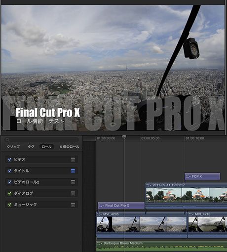 Fcp_x_role_04