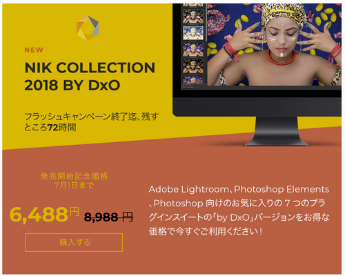Nik Collection 2018 by DxO を買う