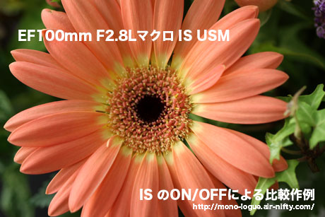 EF100mm F2.8Lマクロ IS USM 手振れ補正比較