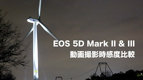 EOS 5D Mark IIIとIIの高感度動画比較